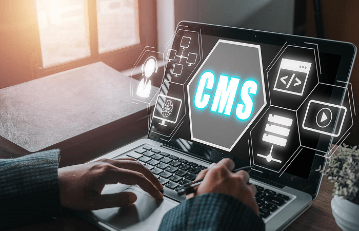 CMS Website Development